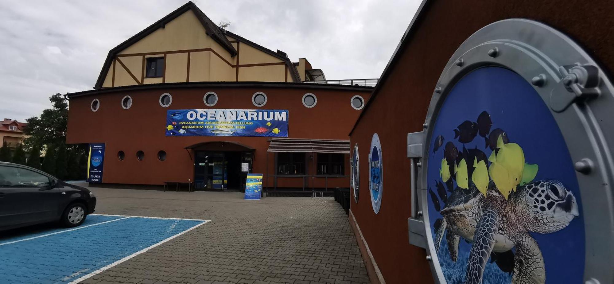 Nocleg ze śniadaniem Dolphin House Łeba