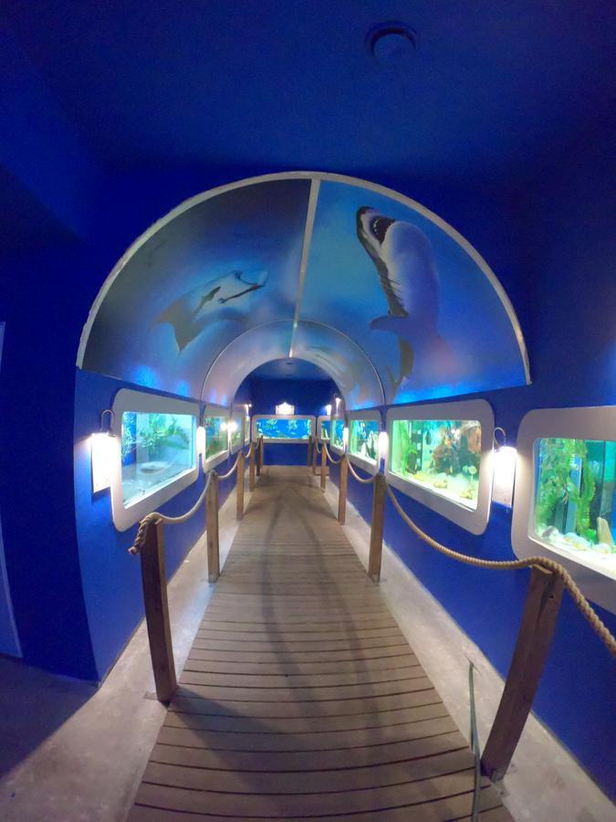 Dolphin House Nocleg ze śniadaniem Łeba